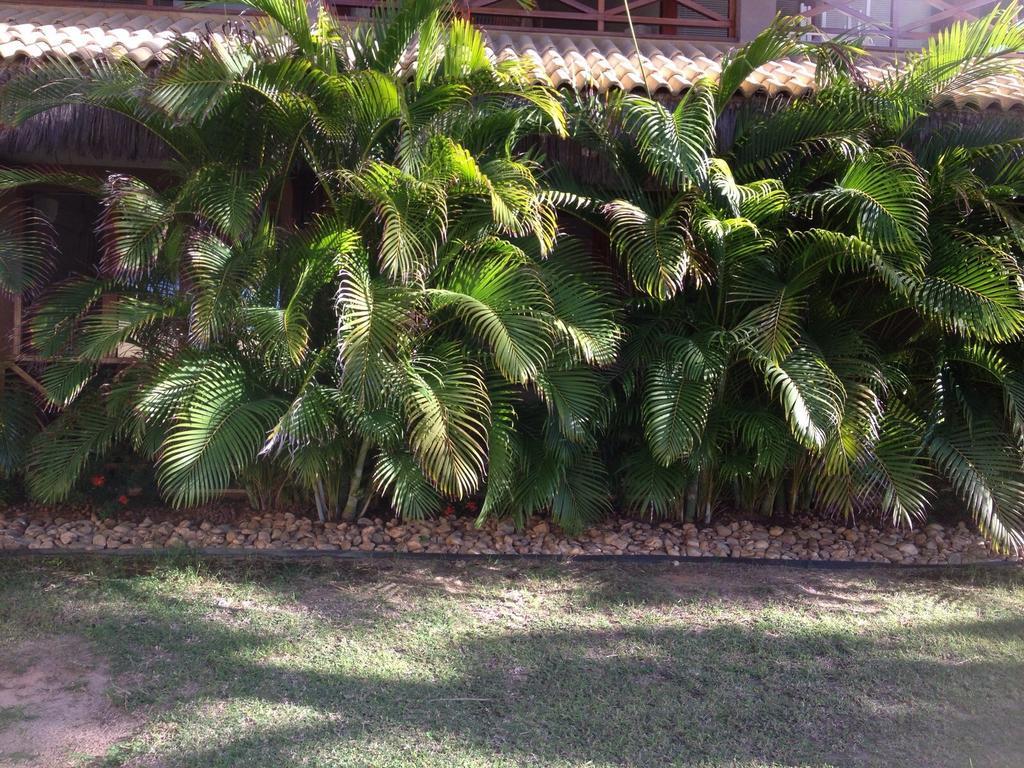 Eco Flecheiras Residence Bagian luar foto